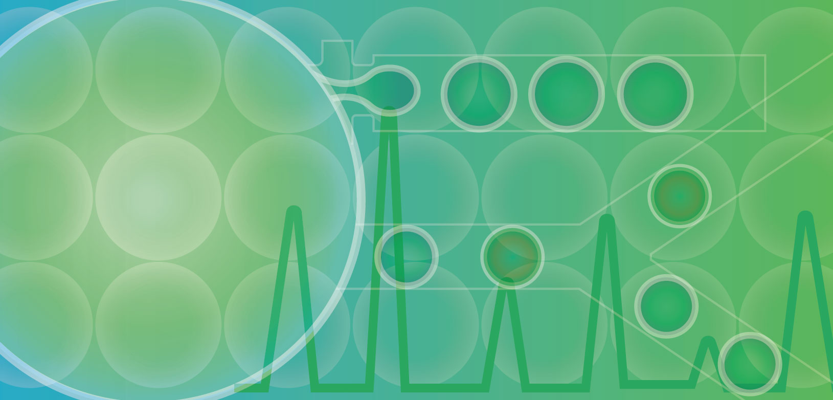 Microfluidic Cell Culture, Evolution and Sorting System